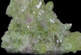 Sparkly Vesuvianite - Jeffrey Mine, Canada #64082-2